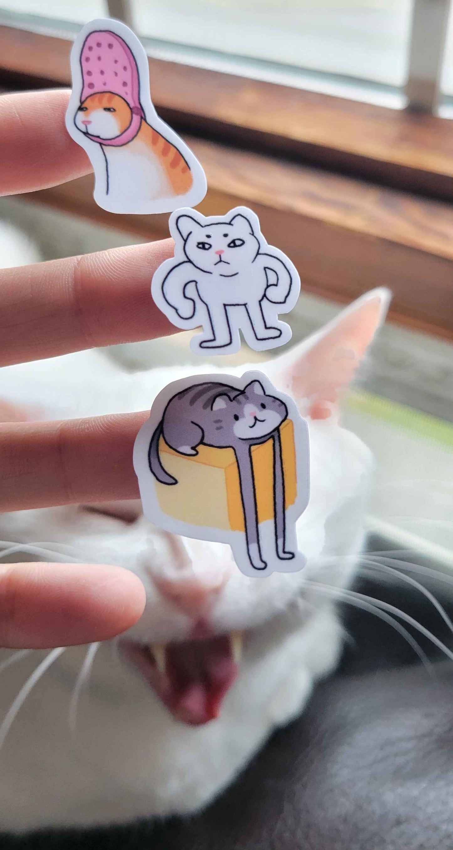 Cat Sticker Sheet